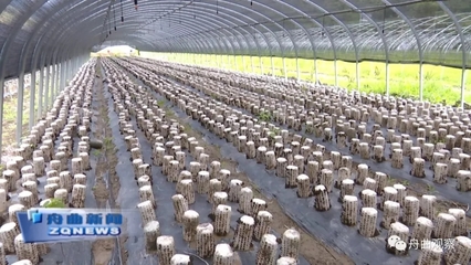 天津?yàn)I江集團(tuán)深入調(diào)研我縣農(nóng)副產(chǎn)品產(chǎn)業(yè)，聚焦新鮮水果零售市場(chǎng)新機(jī)遇