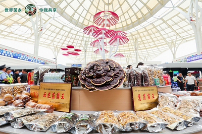 云南南華 菌旅與鮮果，邀您解鎖別樣清涼暑期